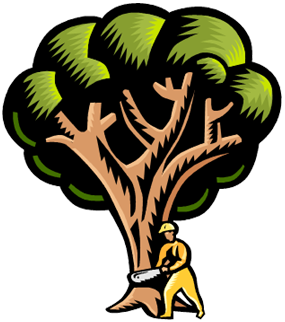 C N'R Tree Pruning N' Removal