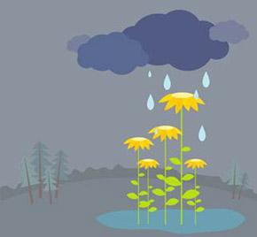 Spring Rains