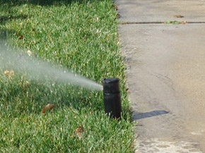 Lawn Sprinkler - Irrigation