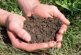 Soil
