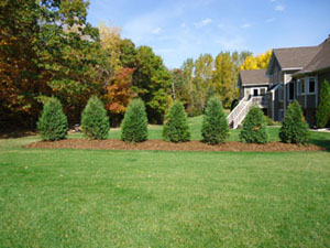 Landscaping - Professionally installed berm