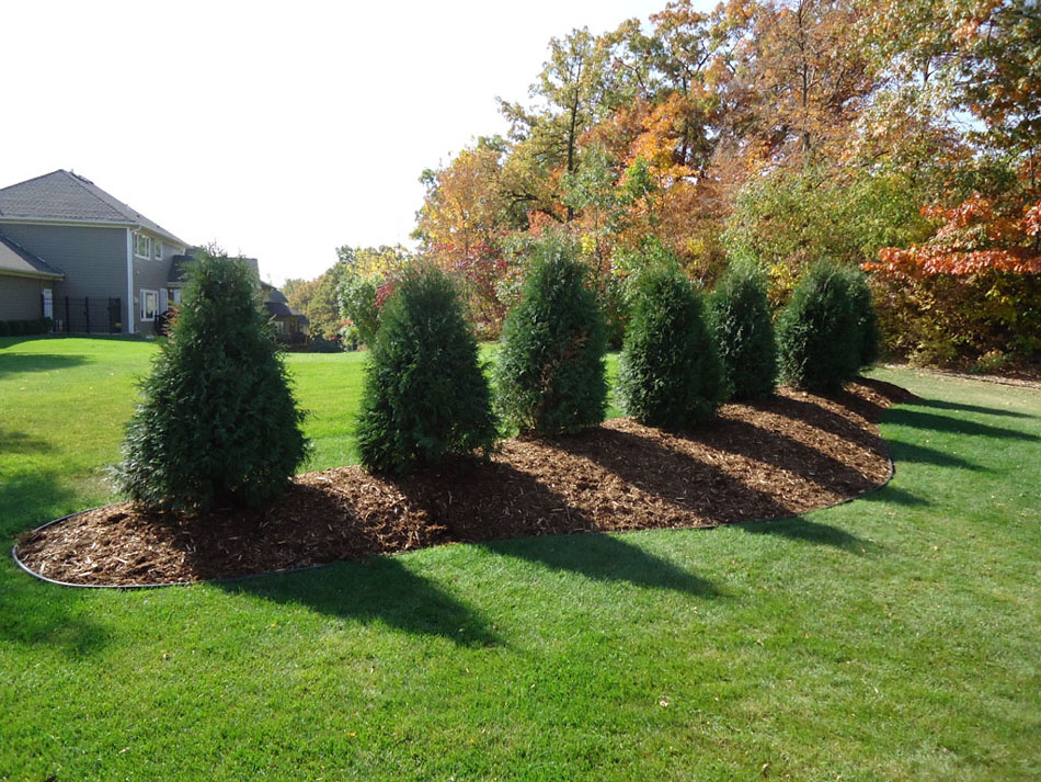 Landscaping - Professionally installed berm