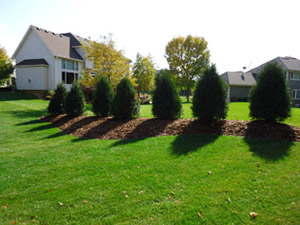 Landscaping - Professionally installed berm