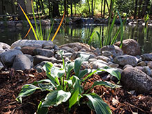 CN'R Lawn N' Landscape - Water Features - Ponds