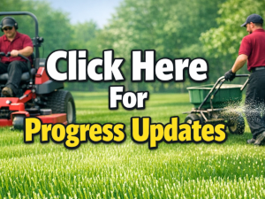 Progress Update Button