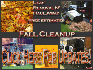 CNR Fall Cleanup updates