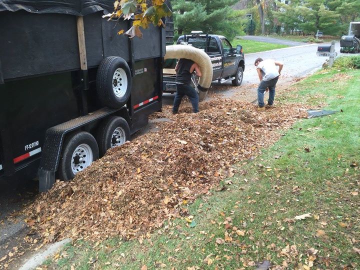 Fall Lawn and property Cleanup