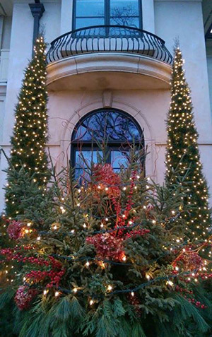 CN'R Lawn N' Landscape - Holiday Lights