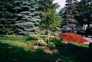 Mulch - Bulk Deliveries