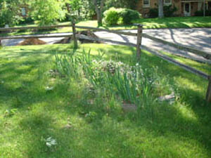CN'R Lawn N' Landscaping - Garden Before