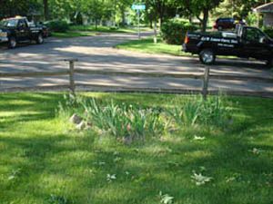 CN'R Lawn N' Landscaping - Garden Before