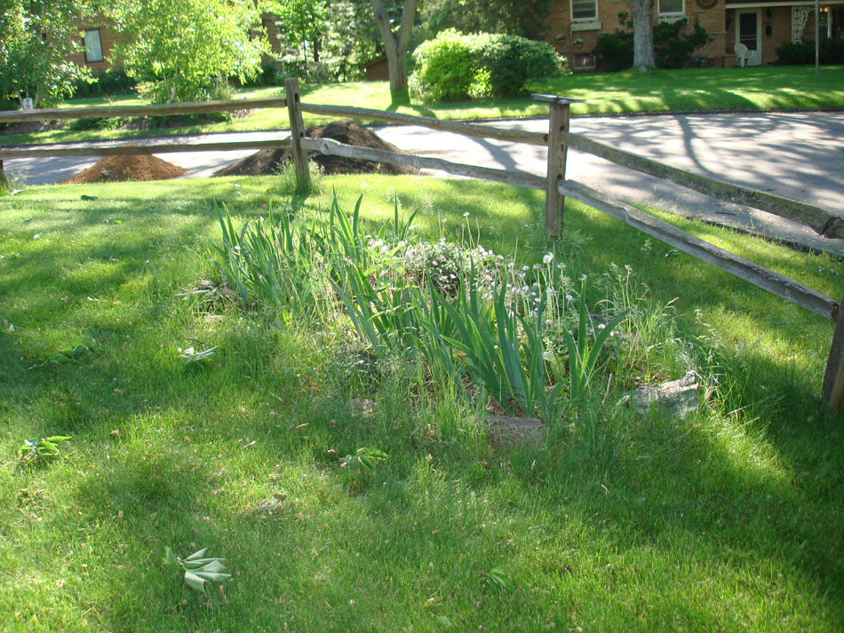 Garden - Before