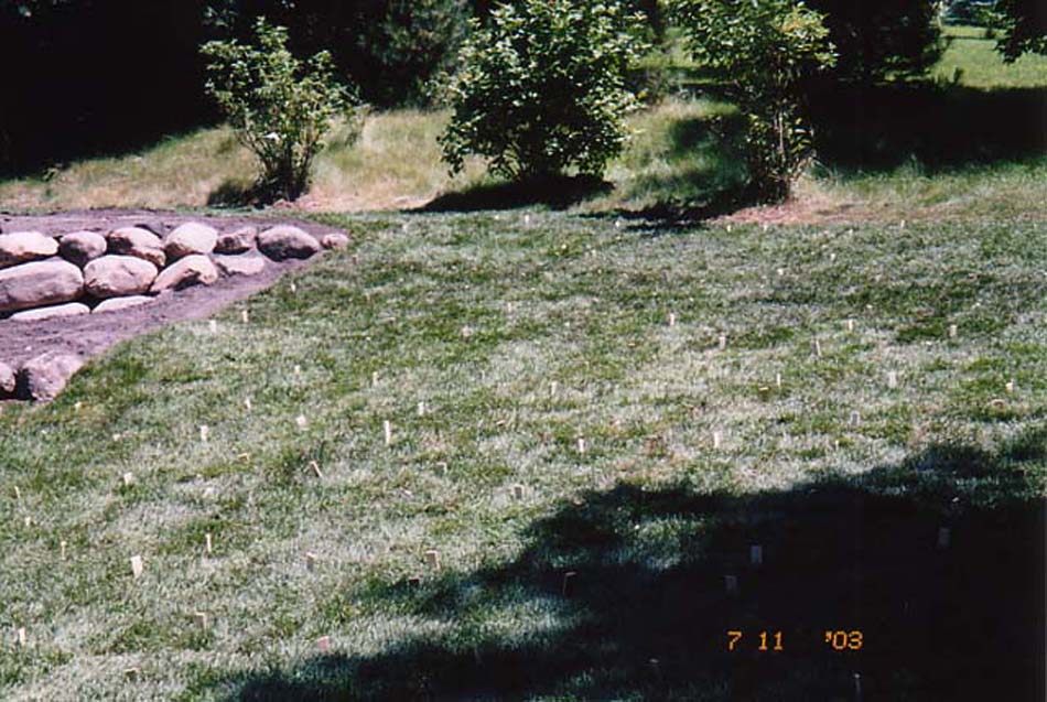 C N'R Lawn N' Landscape - Boulder Wall - Day 8 Photo