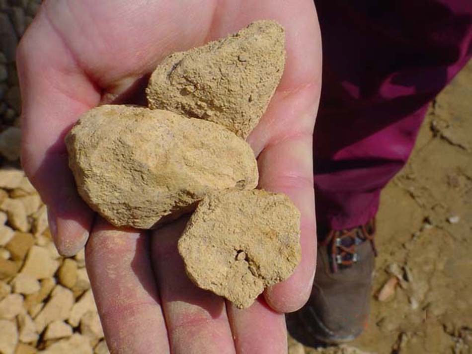 1.5"  Buff Limestone