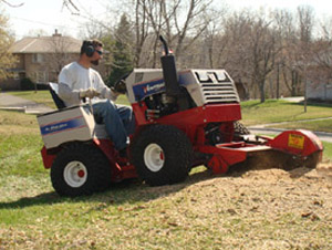 CN'R Lawn N' Landscape -  Professional Stump Grinding Service