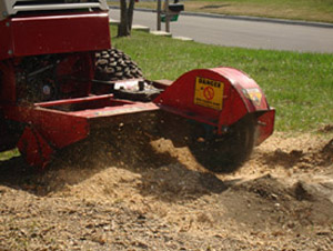 CN'R Lawn N' Landscape -  Professional Stump Grinding Service