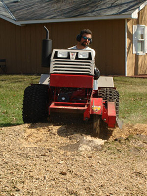 CN'R Lawn N' Landscape -  Professional Stump Grinding Service
